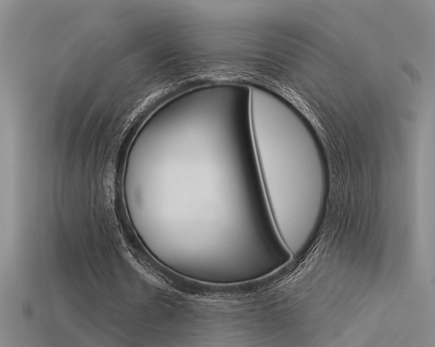 X0000115820530200911131108