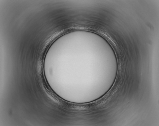 X0000115820533200911131108