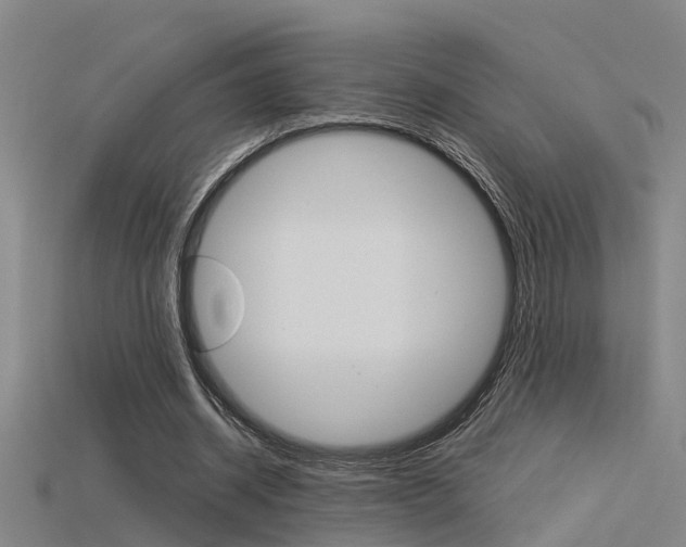 X0000115820534200911131108