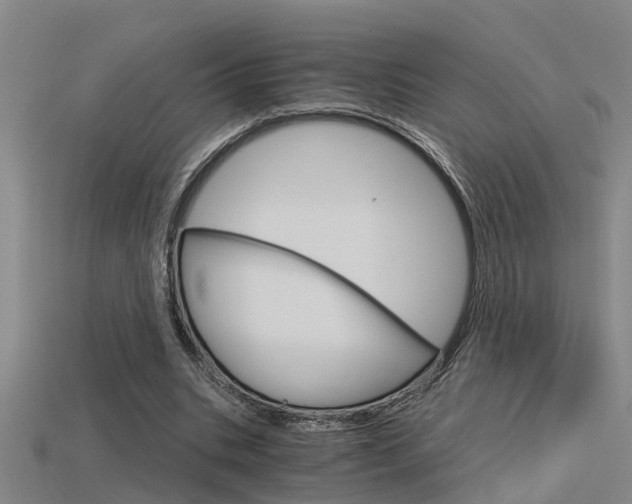 X0000115820535200911131108