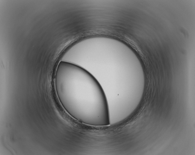 X0000115820538200911131108
