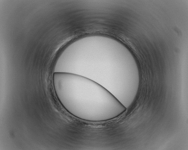 X0000115820539200911131108