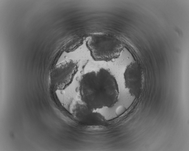 X0000115820541200911131108