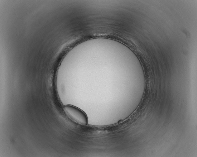 X0000115820543200911131108