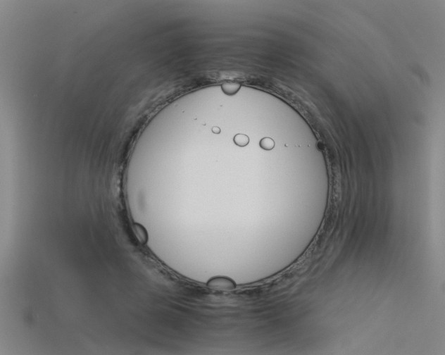 X0000115820545200911131108