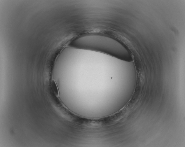 X0000115820546200911131108