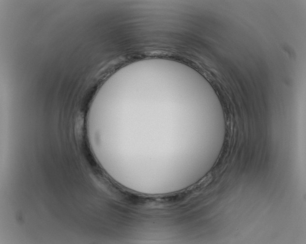 X0000115820550200911131108
