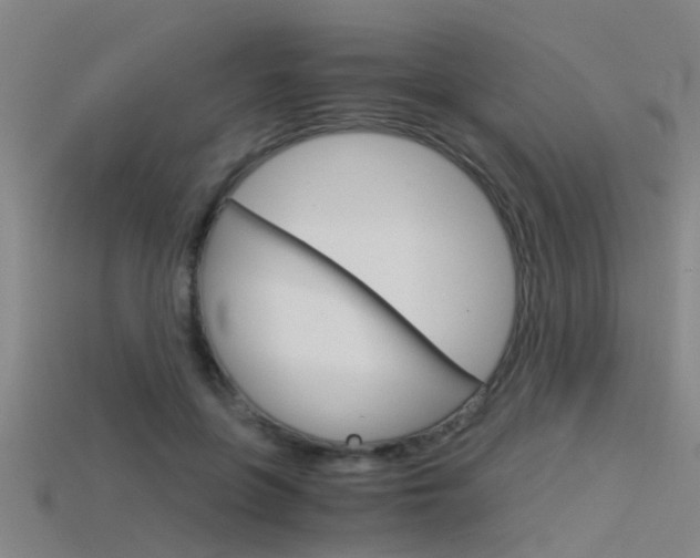 X0000115820551200911131108