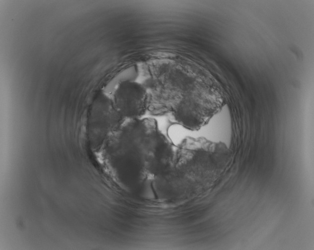 X0000115820553200911131108