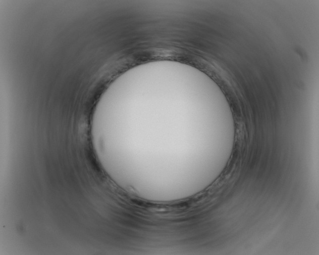 X0000115820557200911131108