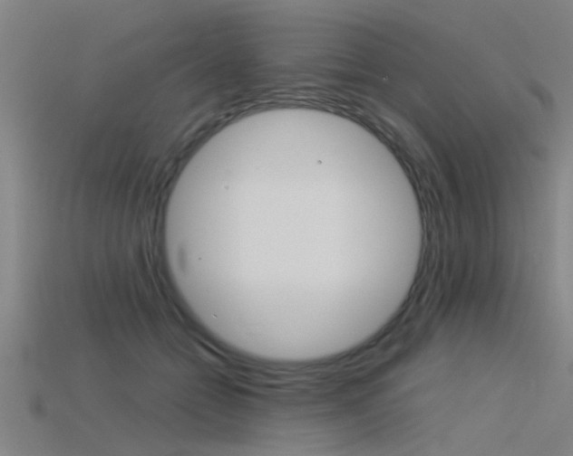 X0000115820558200911131108