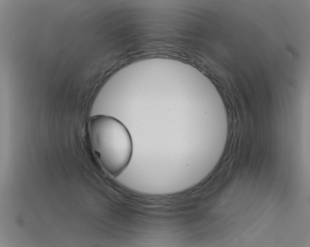 X0000115820562200911131109