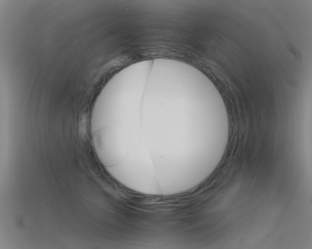 X0000115820563200911131109