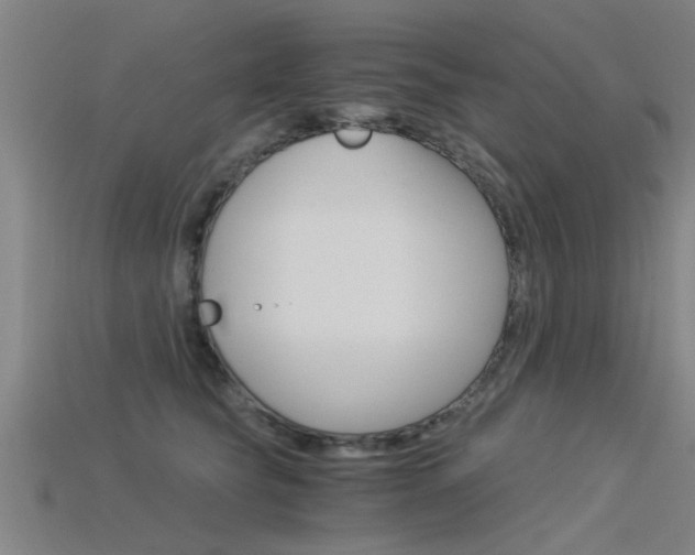 X0000115820565200911131109