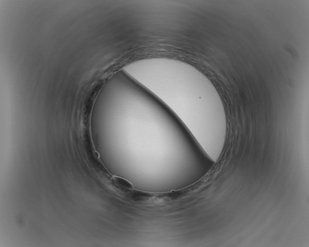 X0000115820566200911131109