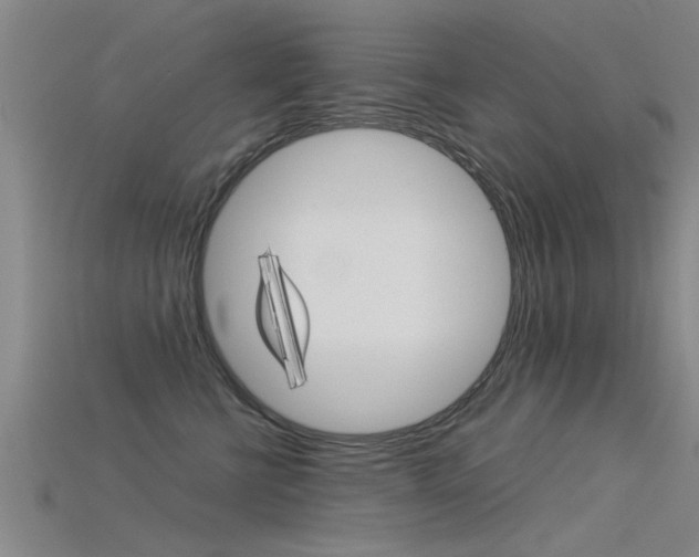 X0000115820570200911131109
