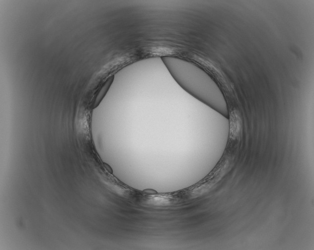 X0000115820573200911131109