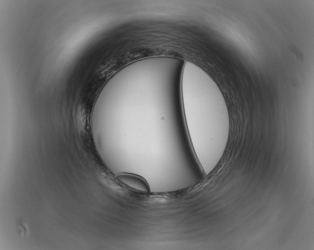 X0000115820574200911131109