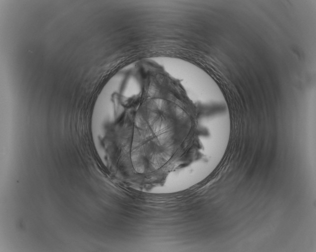 X0000115820575200911131109