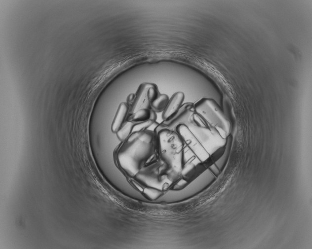 X0000115820577200911131108