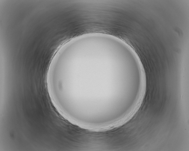 X0000115820579200911131108