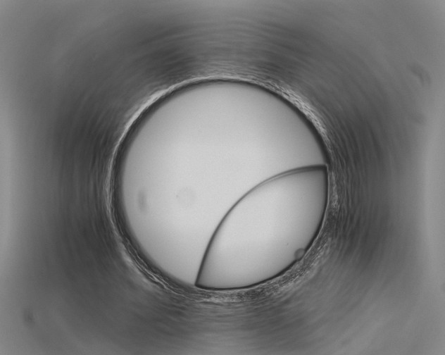 X0000115820580200911131108
