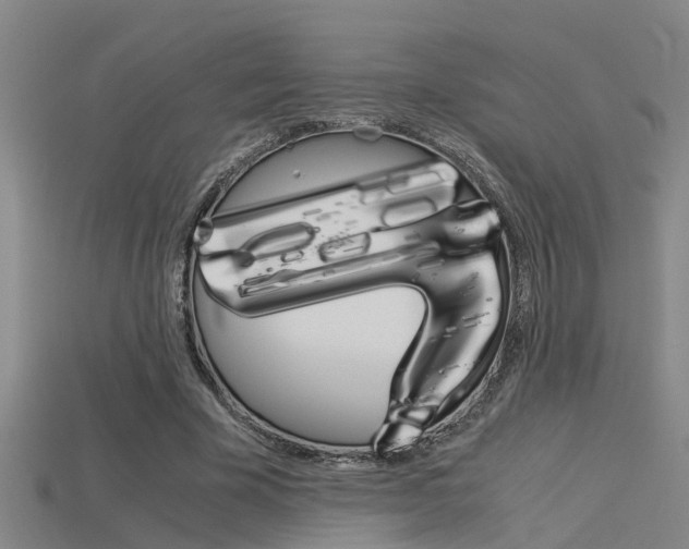 X0000115820585200911131108