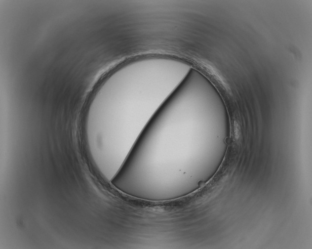 X0000115820588200911131108