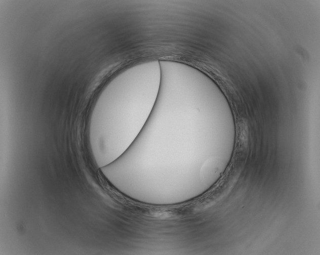 X0000115820590200911131108
