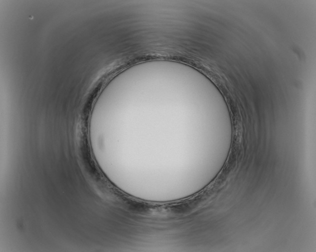 X0000115820591200911131108