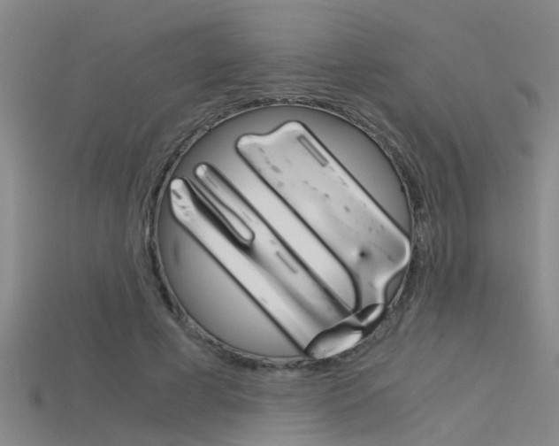 X0000115820593200911131108