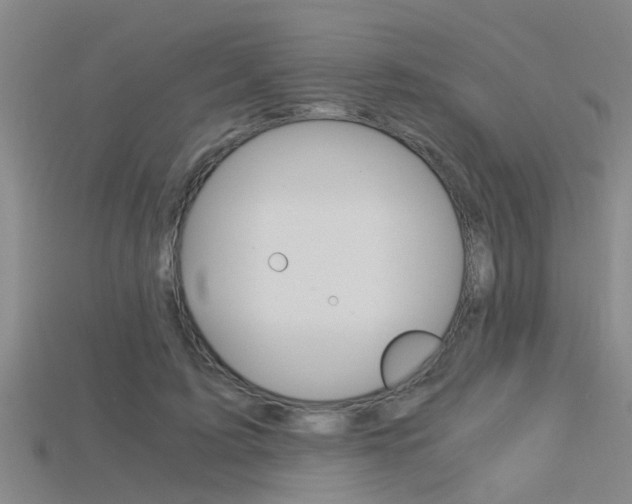 X0000115820595200911131108