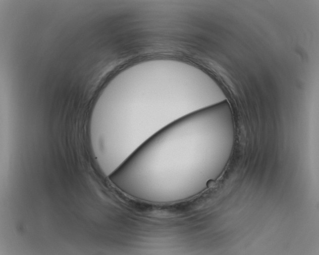 X0000115820596200911131108