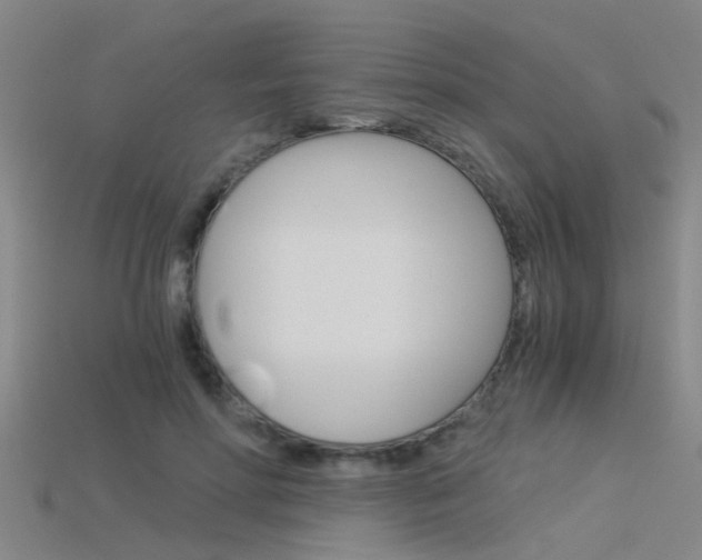 X0000115820598200911131108