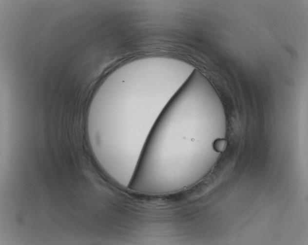 X0000115820600200911131108