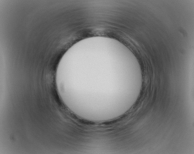 X0000115820603200911131108