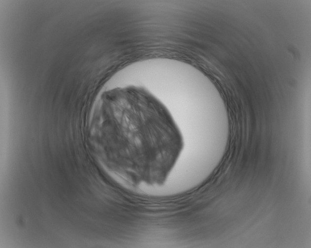 X0000115820605200911131108