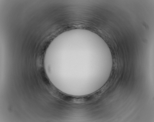 X0000115820606200911131108