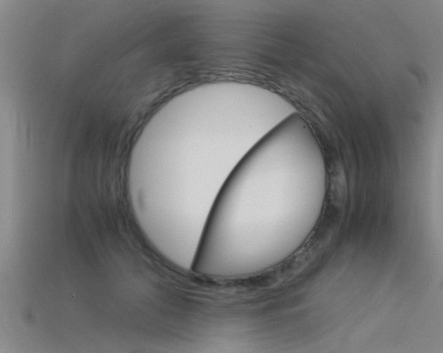 X0000115820608200911131108