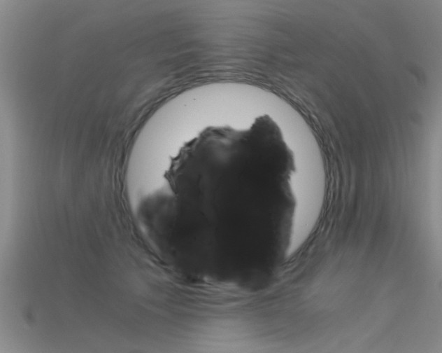 X0000115820609200911131108