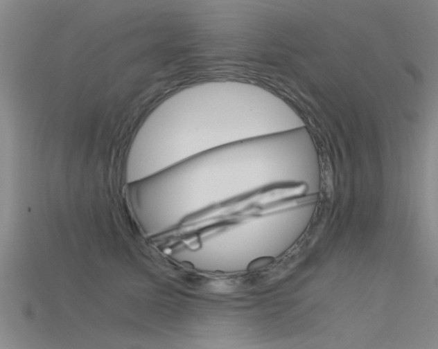 X0000115820611200911131108