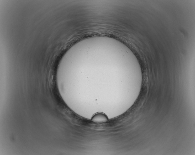 X0000115820615200911131107