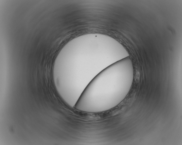 X0000115820616200911131107