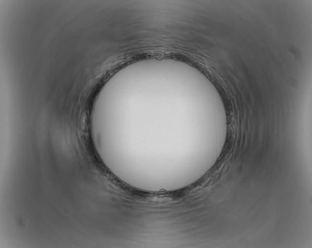 X0000115820619200911131107