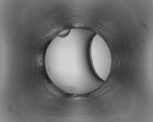 X0000115820620200911131107