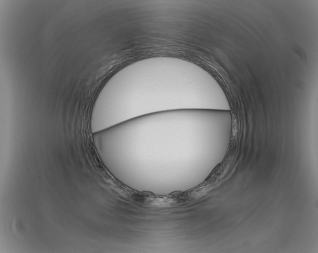 X0000115820621200911131107
