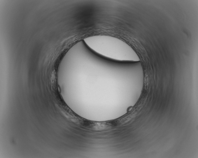 X0000115820623200911131107