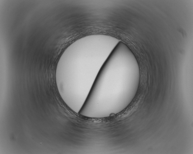 X0000115820624200911131107