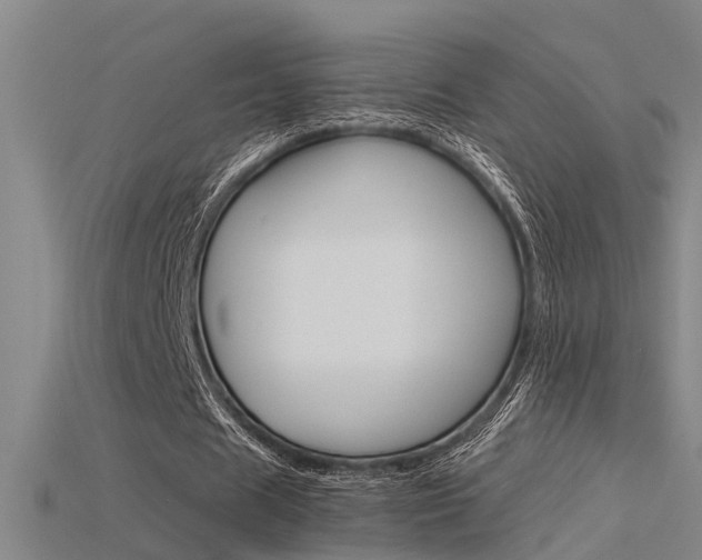 X0000115820625200911131107