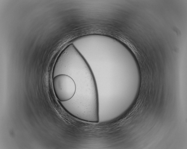 X0000115820626200911131107